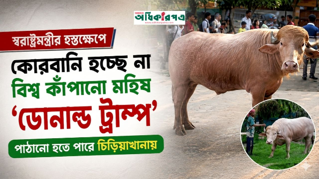 রয়টার্স-এএফপিতে জায়গা পাওয়া ডোনাল্ড ট্রাম্পকে কোরবানি দিচ্ছে না সরকার